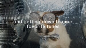 A dog with a bow tie and sparkly sunglasses sits in front of a disco ball background, portrayed in a Biteable video, with the text "and getting down to your favorite tunes.